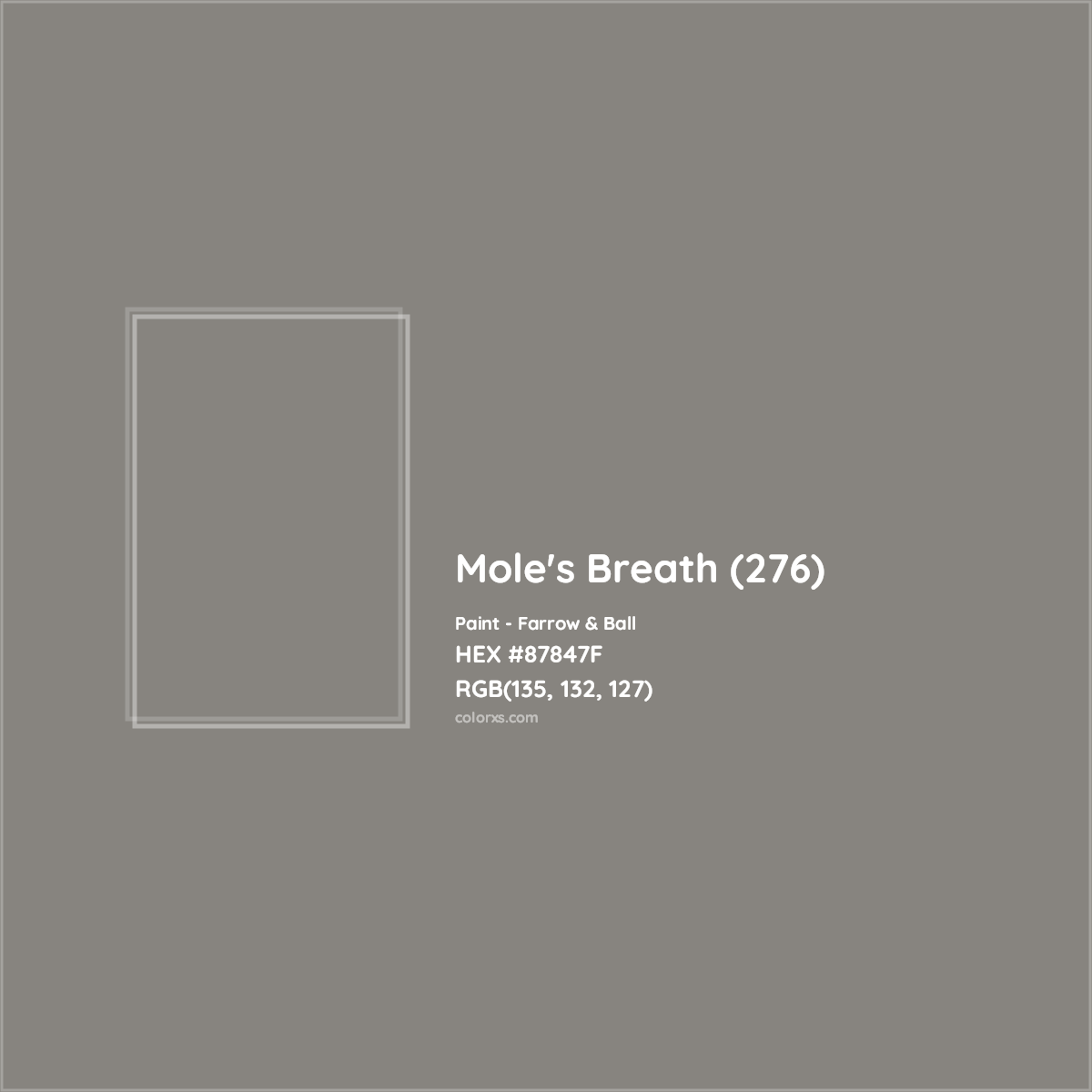 HEX #87847F Mole's Breath (276) Paint Farrow & Ball - Color Code