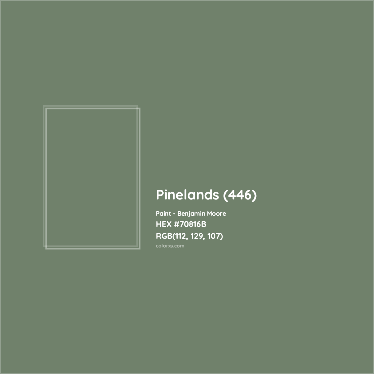 HEX #70816B Pinelands (446) Paint Benjamin Moore - Color Code
